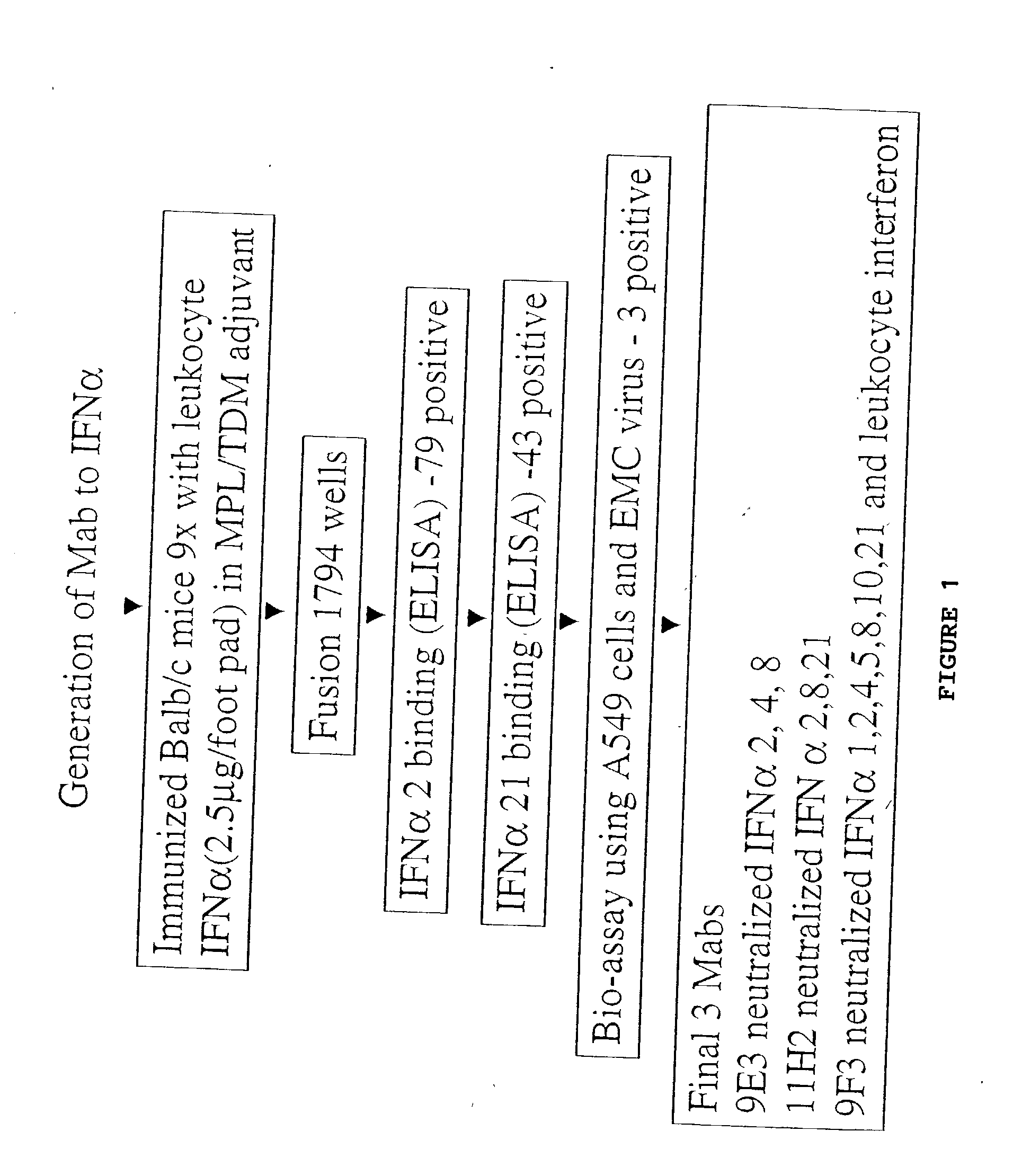 Anti-interferon-alpha antibodies