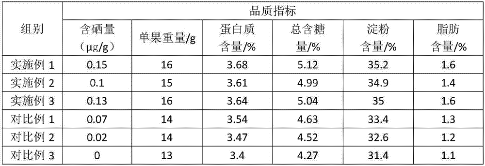 Selenium-enriched Fengkai oil chestnut planting method