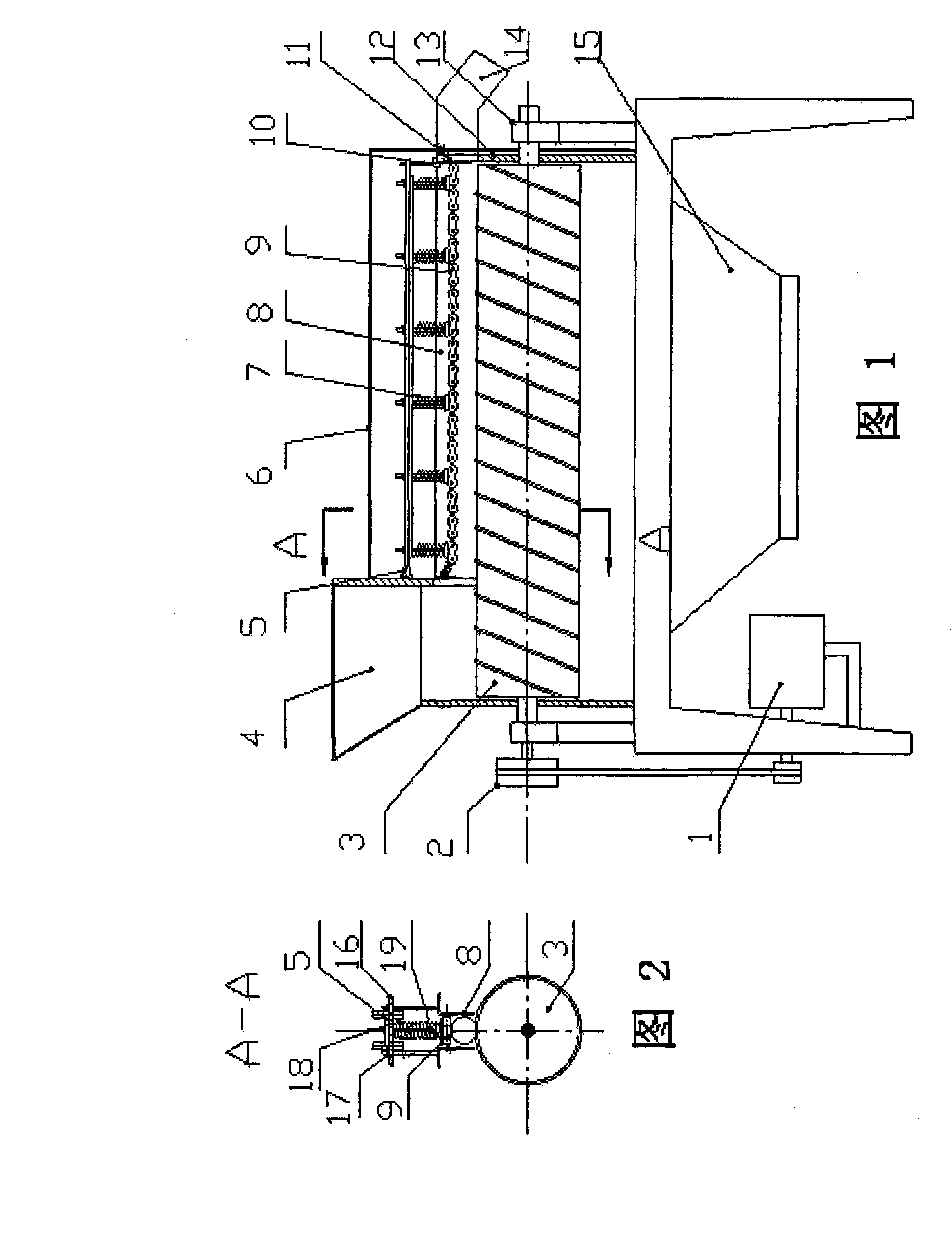 Chain type peeling machine for macadamia nut