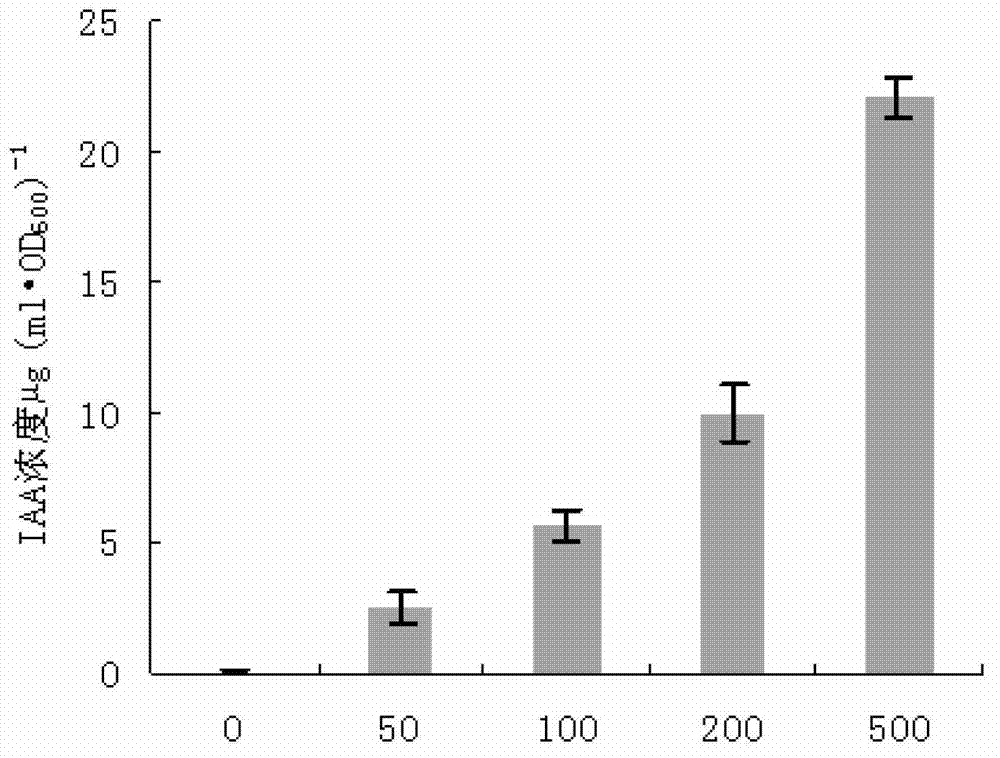 Medicago pseudomonas strain capable of producing ACC (1-aminocyclopropane-1-carboxylate) deaminase and application of medicago pseudomonas strain