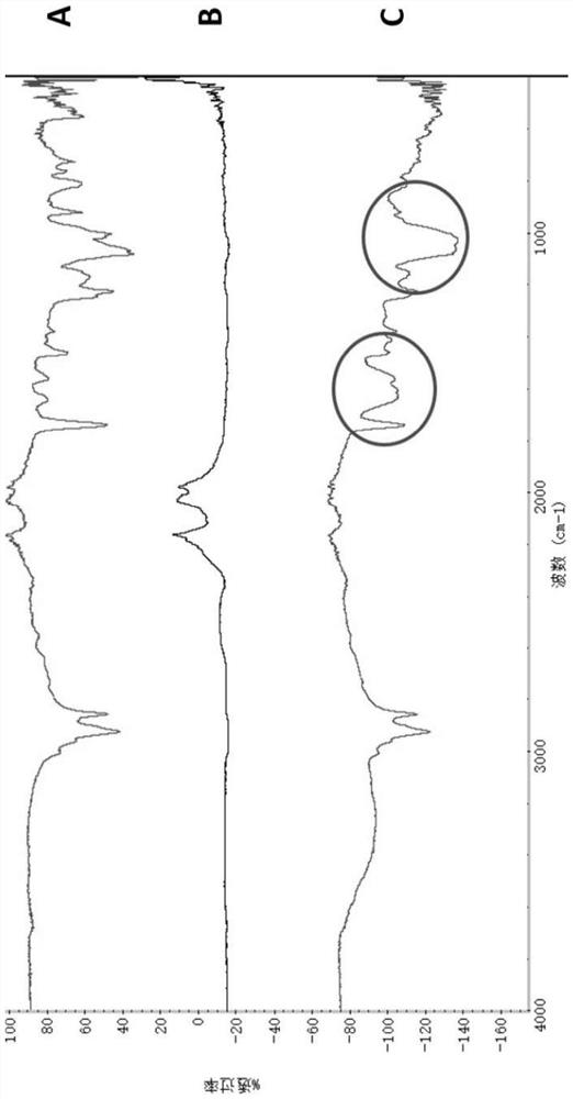 Bufalin (BUF)-carrying nano liposome modified by hyaluronic acid as well as preparation method and application of BUF-carrying nano liposome