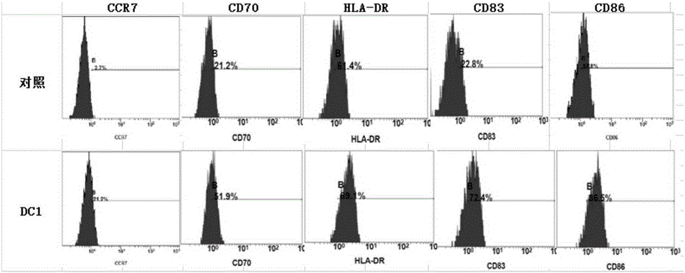 Kit for activating lung cancer specific immunity response