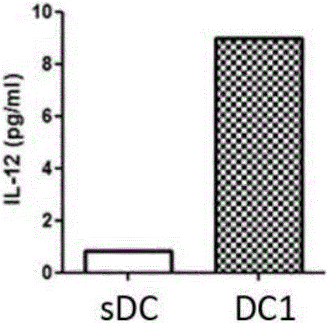 Kit for activating lung cancer specific immunity response