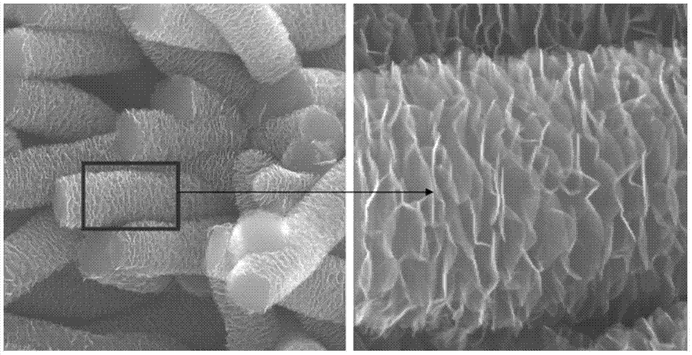 Method for preparing graphene material at high temperature and high pressure