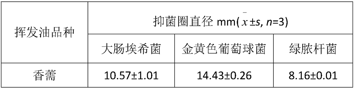 Application of elsholtzia volatile oil in sterilizing and/or anti-bacteria and antibiotic resistant bacteria and preparation method thereof