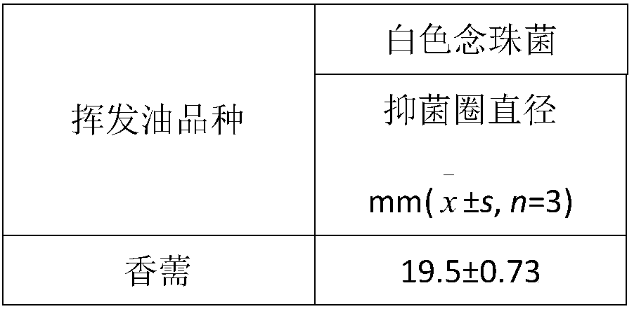 Application of elsholtzia volatile oil in sterilizing and/or anti-bacteria and antibiotic resistant bacteria and preparation method thereof