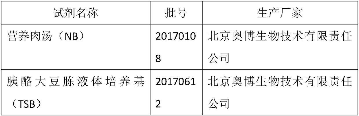 Application of elsholtzia volatile oil in sterilizing and/or anti-bacteria and antibiotic resistant bacteria and preparation method thereof