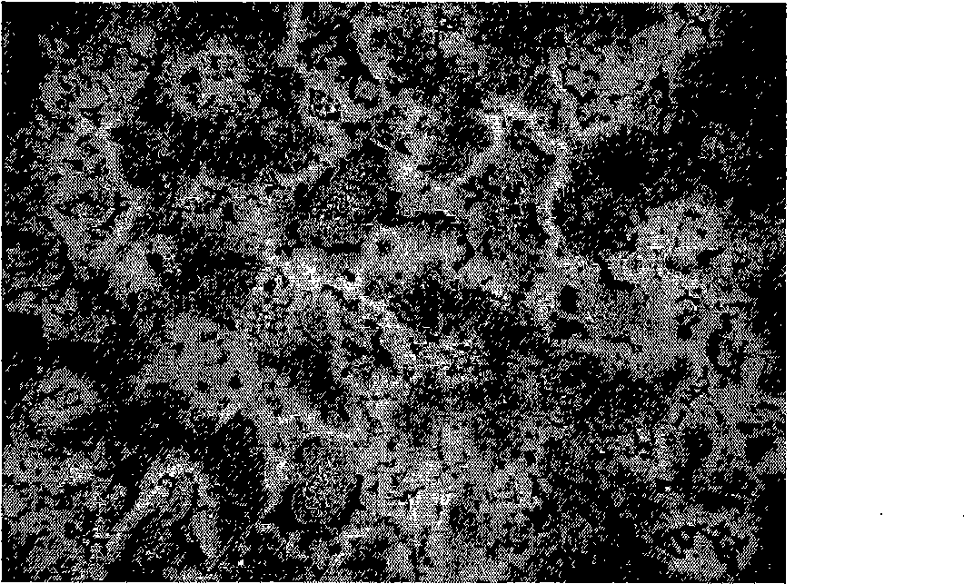 Method for preparing high-hardness wear-resistant powder metallurgical rolling sleeve