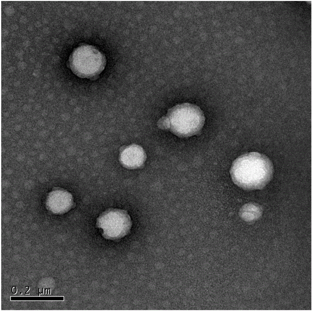 Multifunctional nano-medicinal composition, as well as preparation method and application thereof