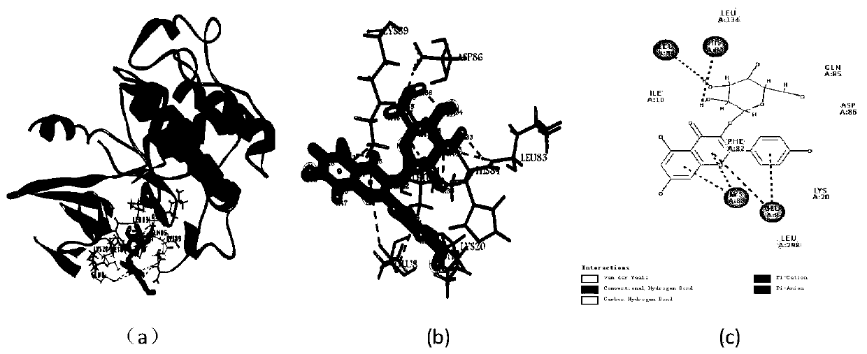 New use of astragalin as CDK2 kinase inhibitor