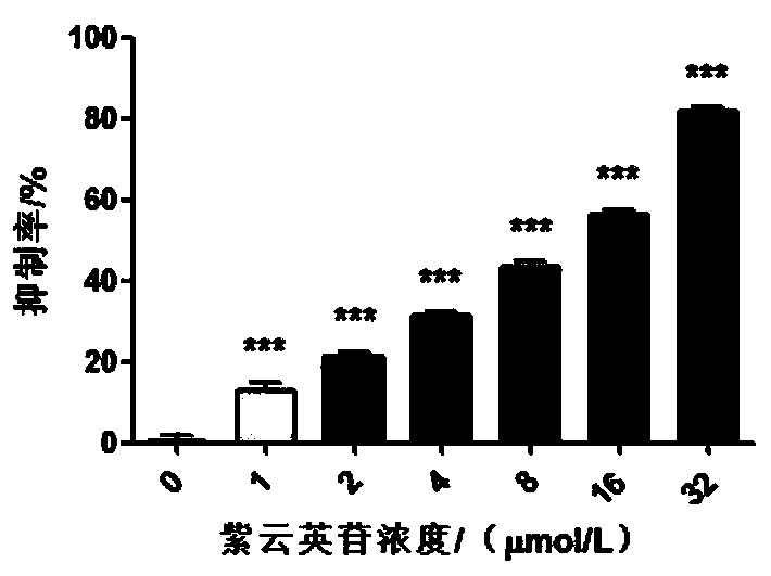 New use of astragalin as CDK2 kinase inhibitor