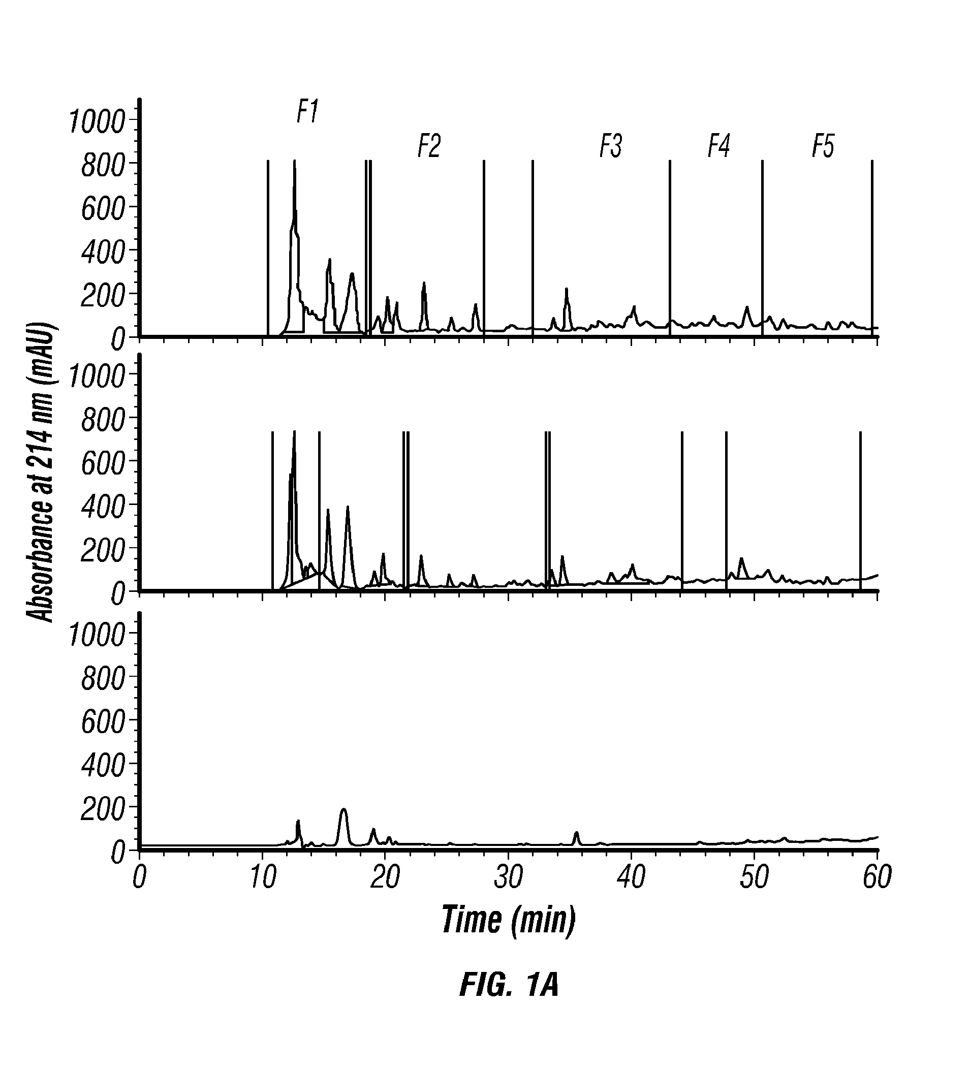 Lactococcus lactis strains