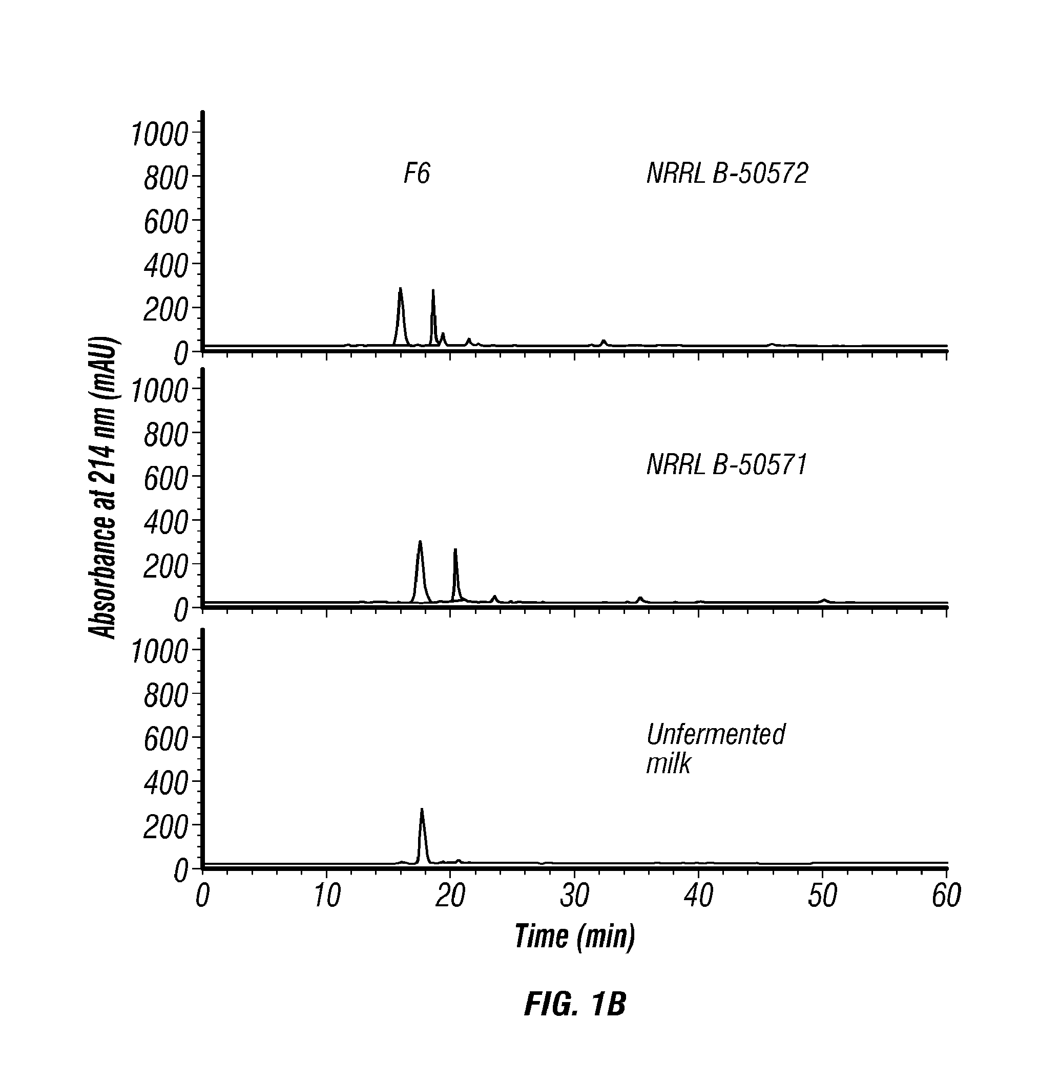 Lactococcus lactis strains