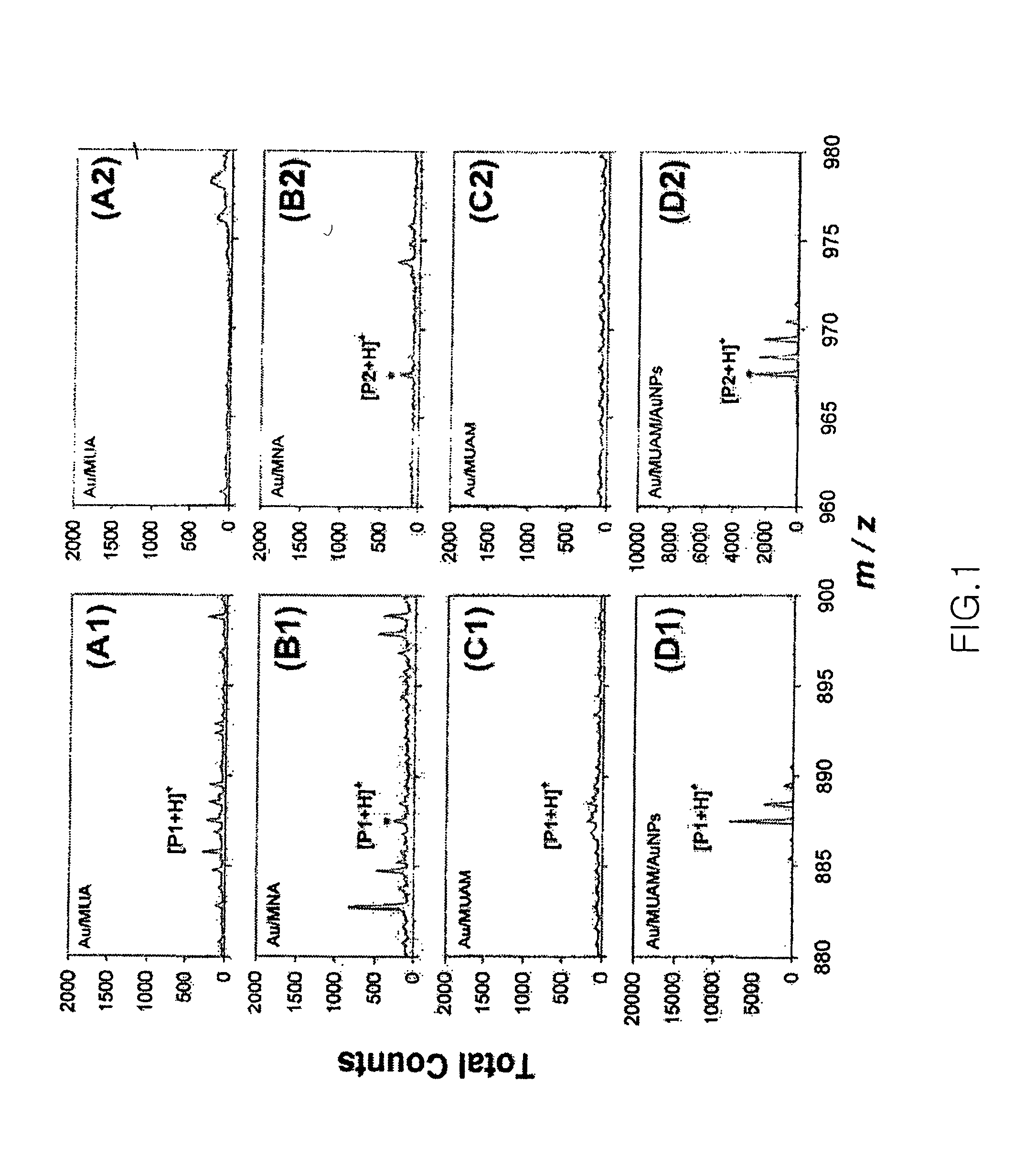 Construction of gold nanoparticle-based peptide chip, and assaying enzyme activity and inhibitor effect using secondary ion mass spectrometric analysis thereof