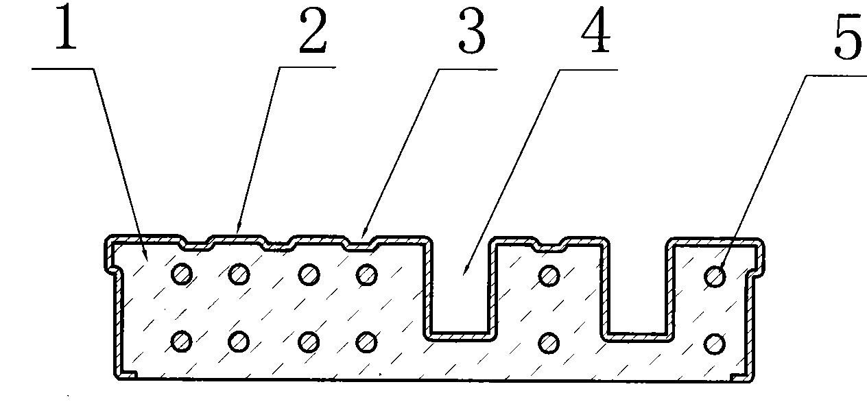 Composite elevator cage and its producing method