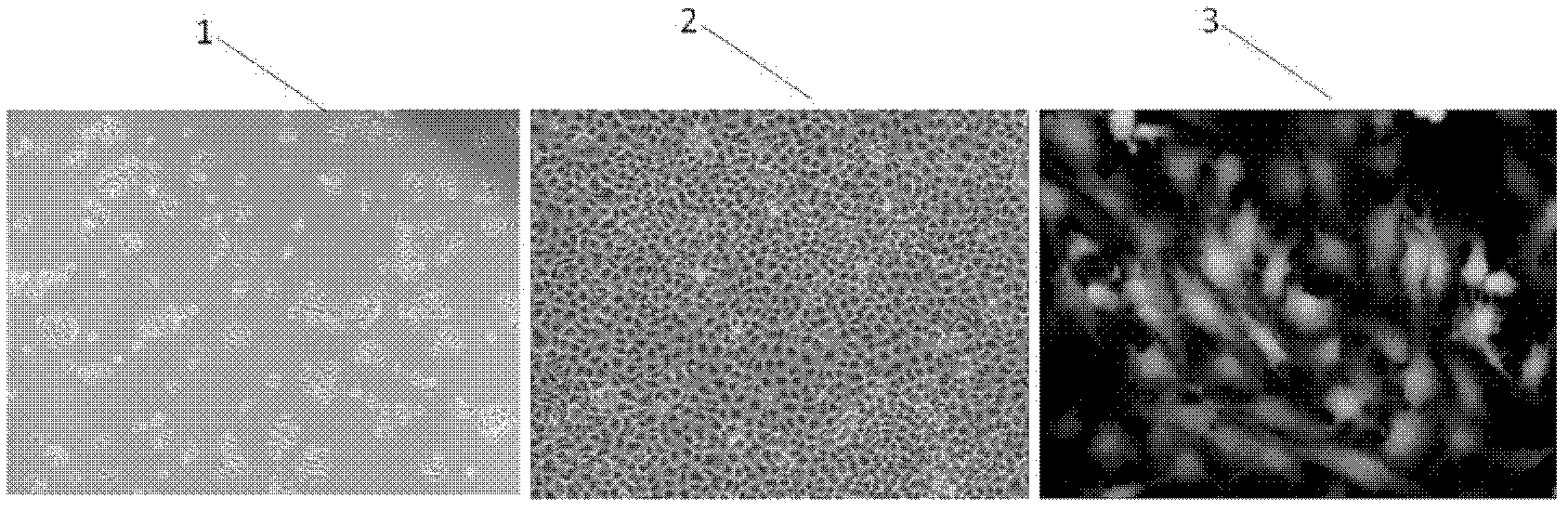 Cell analysis technology based on film fiber material micro fluidic chip