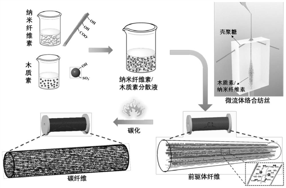 Lignin/nanocellulose-based carbon fiber and preparation method thereof