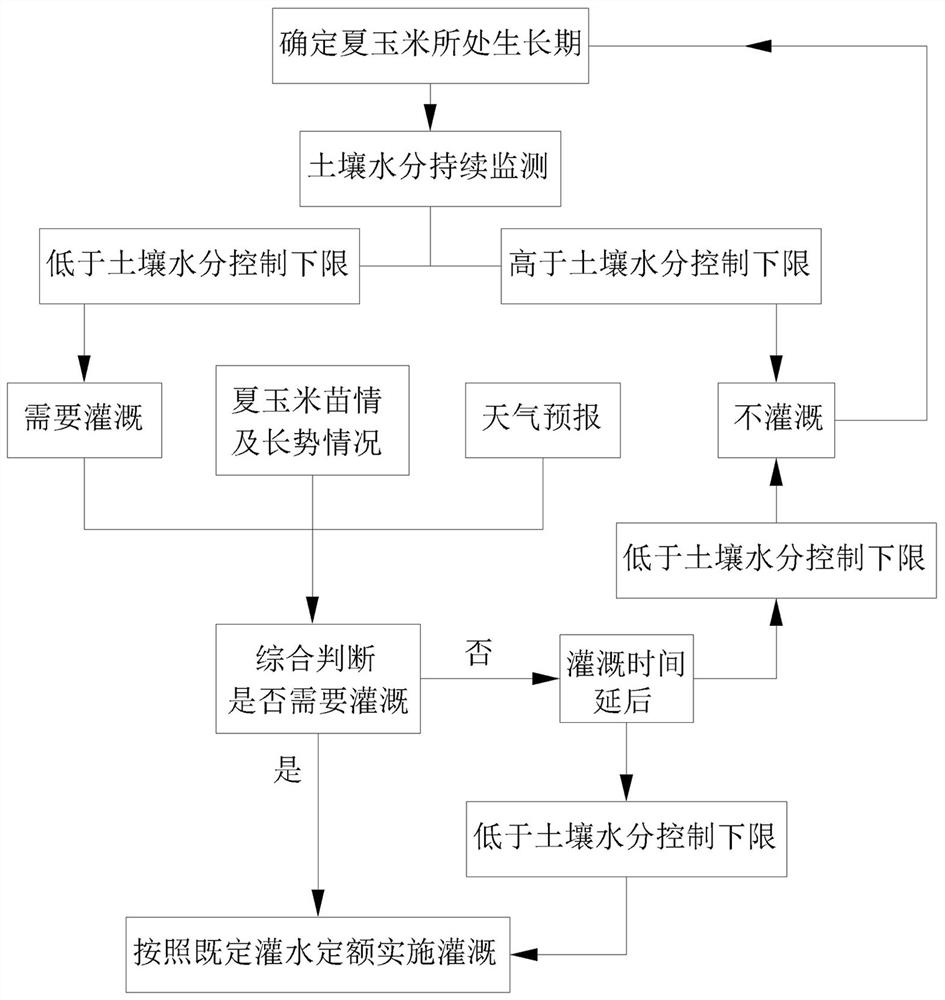 A method for optimizing water use in precise irrigation of summer corn