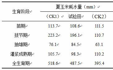 A method for optimizing water use in precise irrigation of summer corn