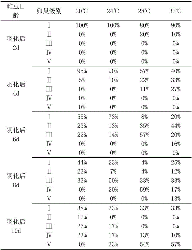 Method for conveniently observing and feeding rice planthoppers