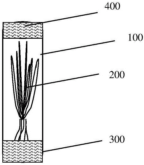 Method for conveniently observing and feeding rice planthoppers