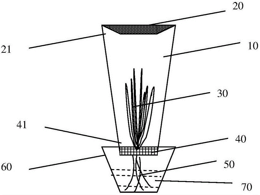 Method for conveniently observing and feeding rice planthoppers