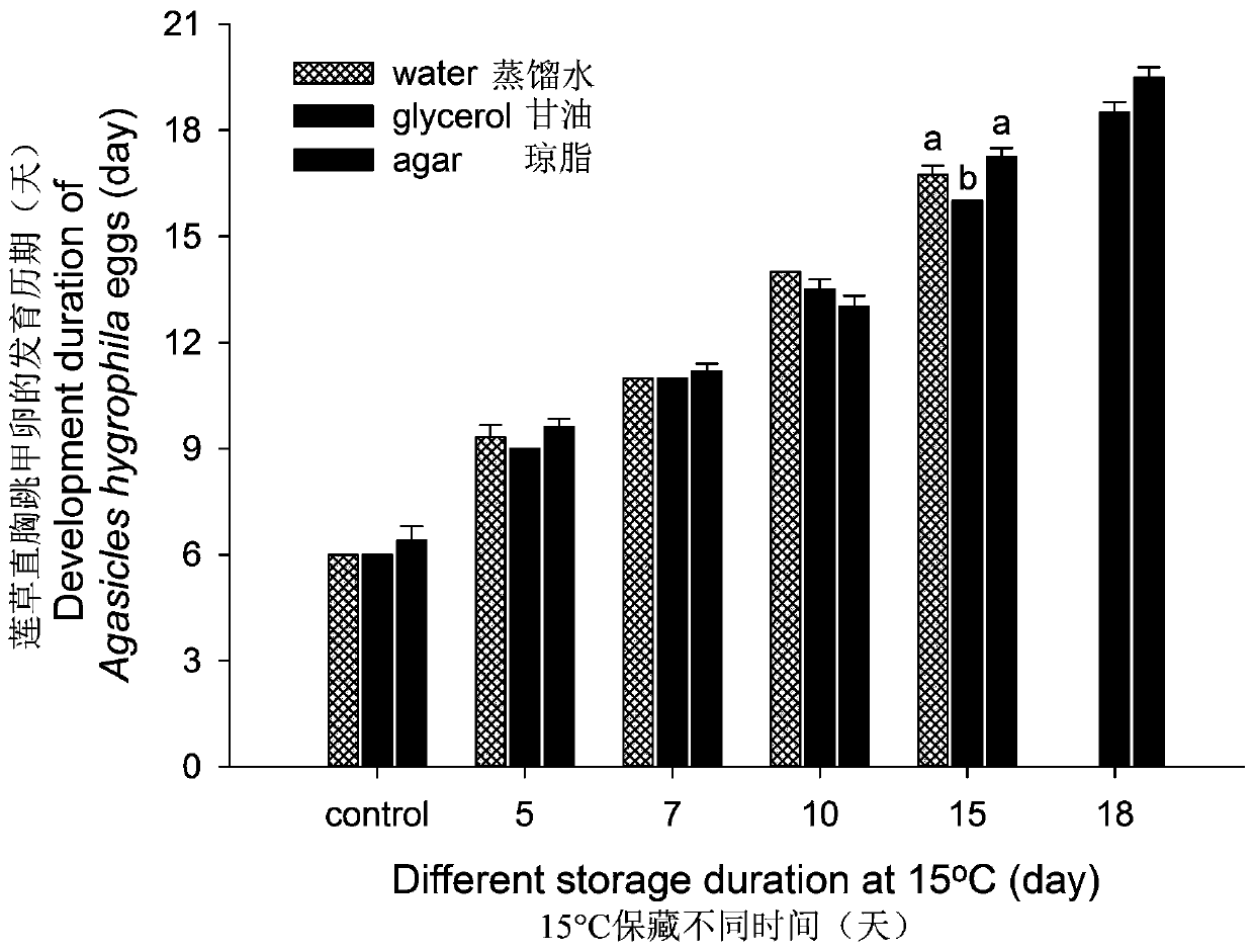 Low-temperature preservation method of agasicles hygrophila eggs