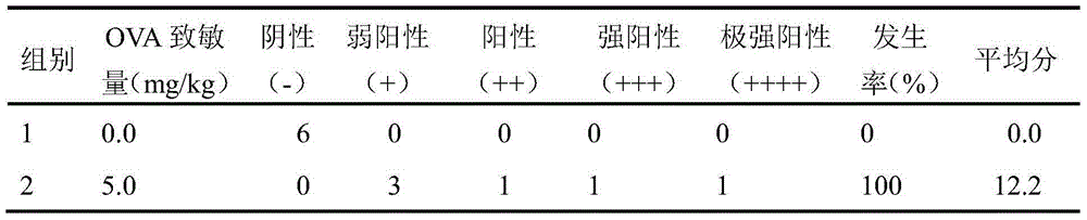 Preparation method of guinea pig airway allergic asthma model