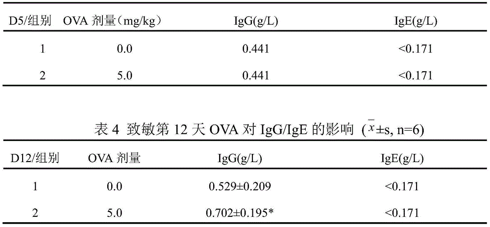 Preparation method of guinea pig airway allergic asthma model