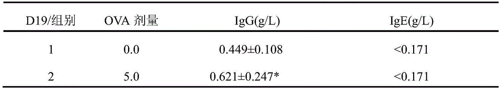 Preparation method of guinea pig airway allergic asthma model