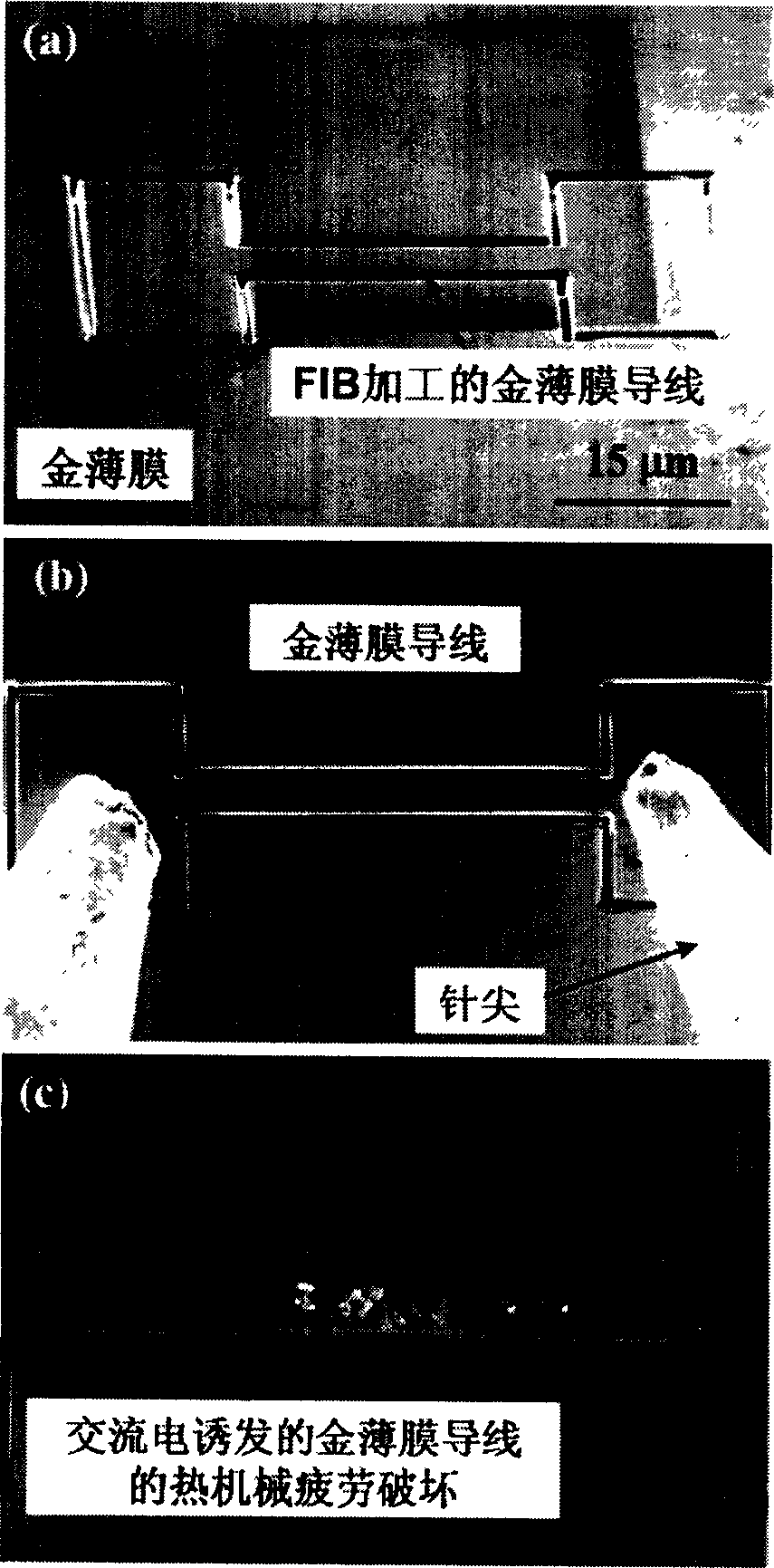 System and method for testing performance of thin-film material under electricity/heat/force coupling action