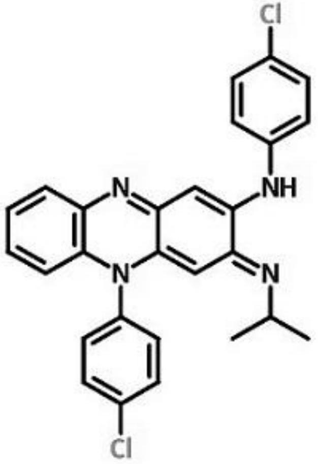 Application of clofazimine to preparation of medicines for resisting novel coronavirus infectious diseases