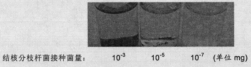 Indicator tube for indicating microbe growth and application thereof