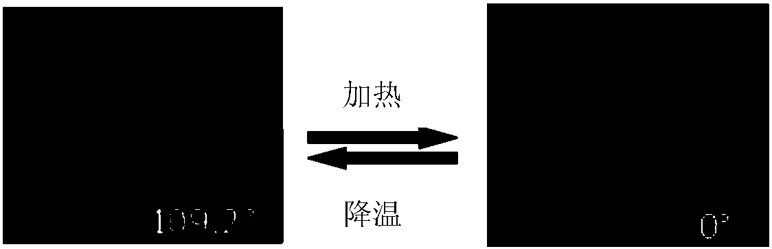 Intelligent fiber or product thereof with environmental responsibility and preparation method thereof