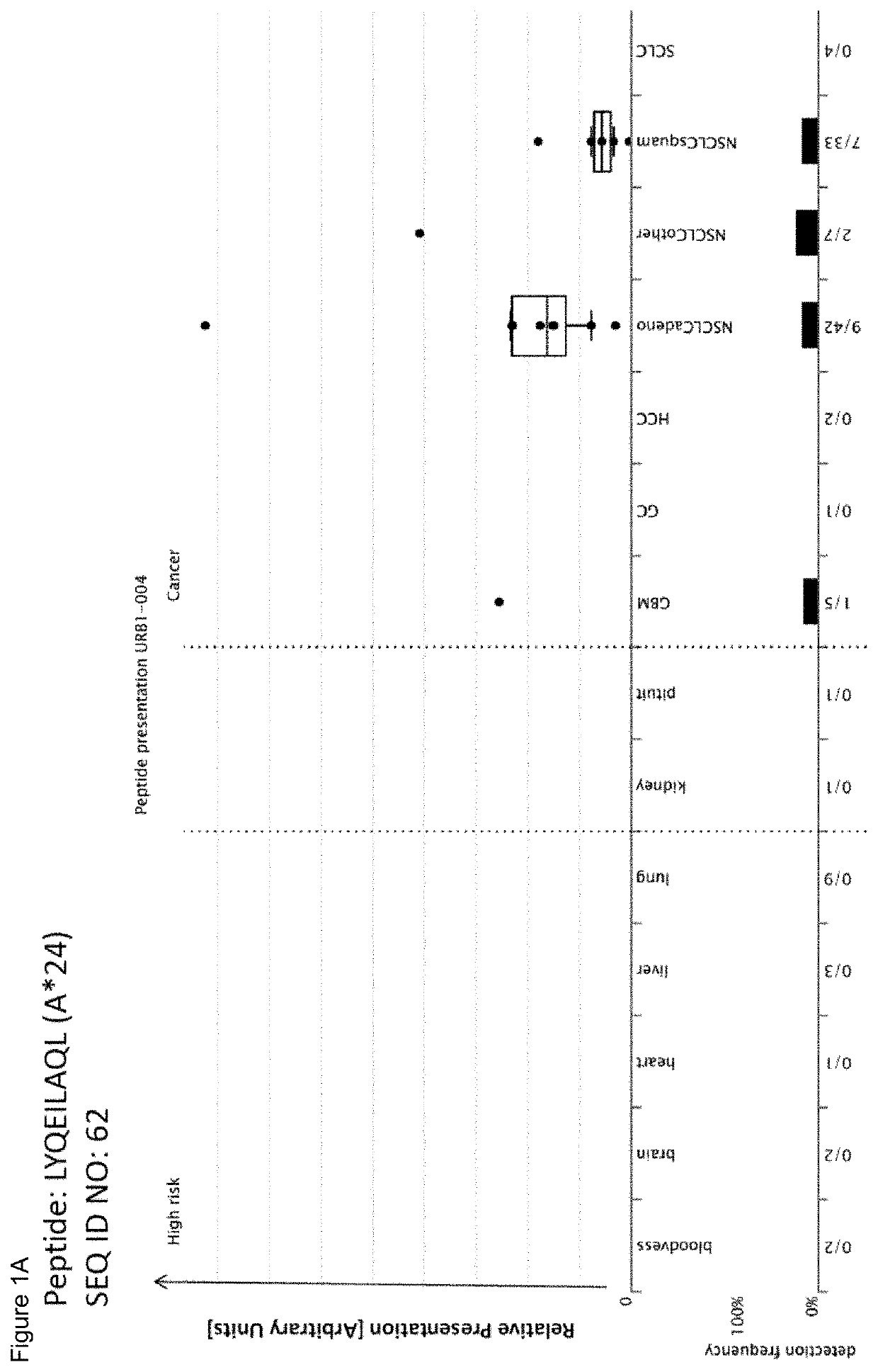 Novel peptides and combination of peptides for use in immunotherapy against lung cancer, including nsclc, sclc and other cancers