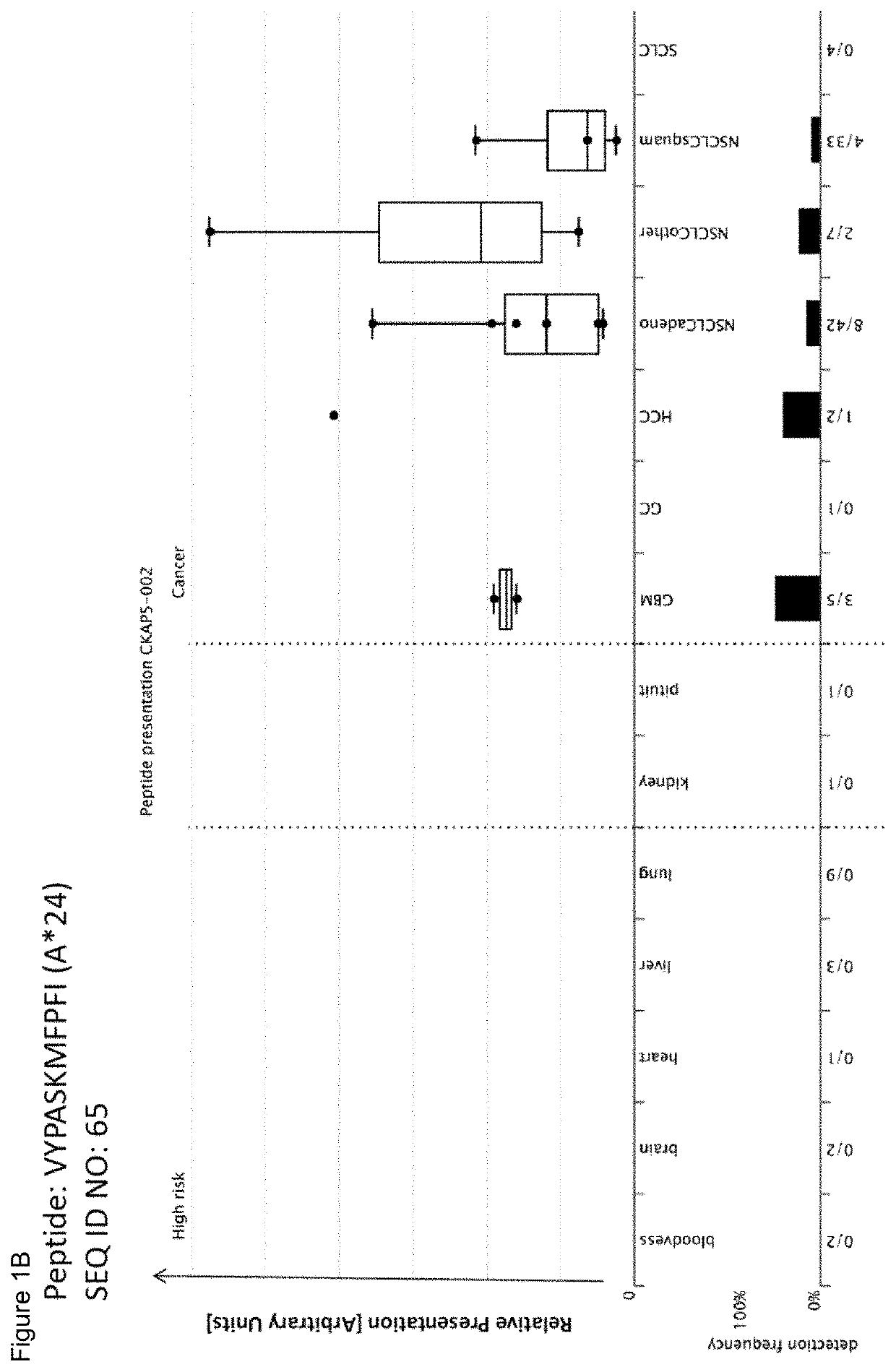 Novel peptides and combination of peptides for use in immunotherapy against lung cancer, including nsclc, sclc and other cancers