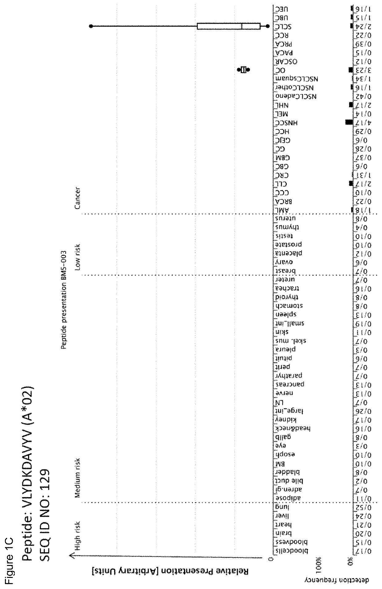 Novel peptides and combination of peptides for use in immunotherapy against lung cancer, including nsclc, sclc and other cancers