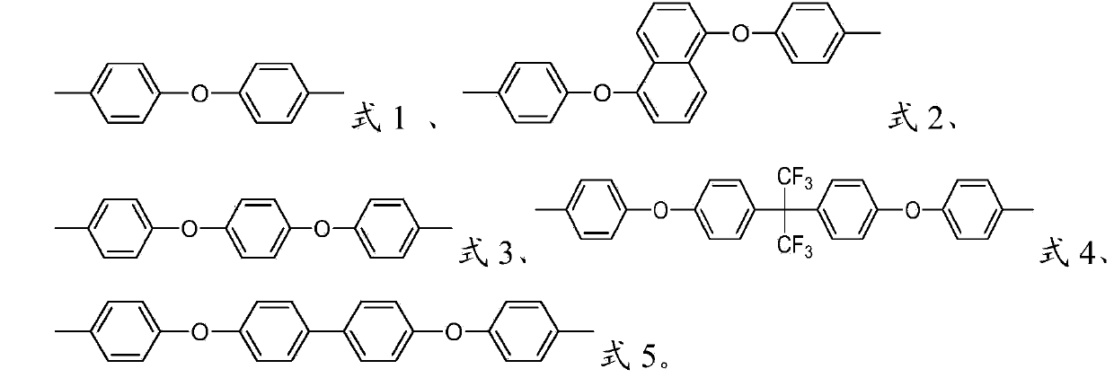 Polyketide with quaternized side chain and preparation method thereof as well as anion-exchange membrane