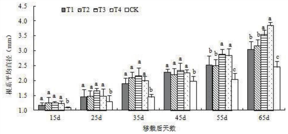 A kind of rice stubble flue-cured tobacco transplanting safety fertilizer and its application method