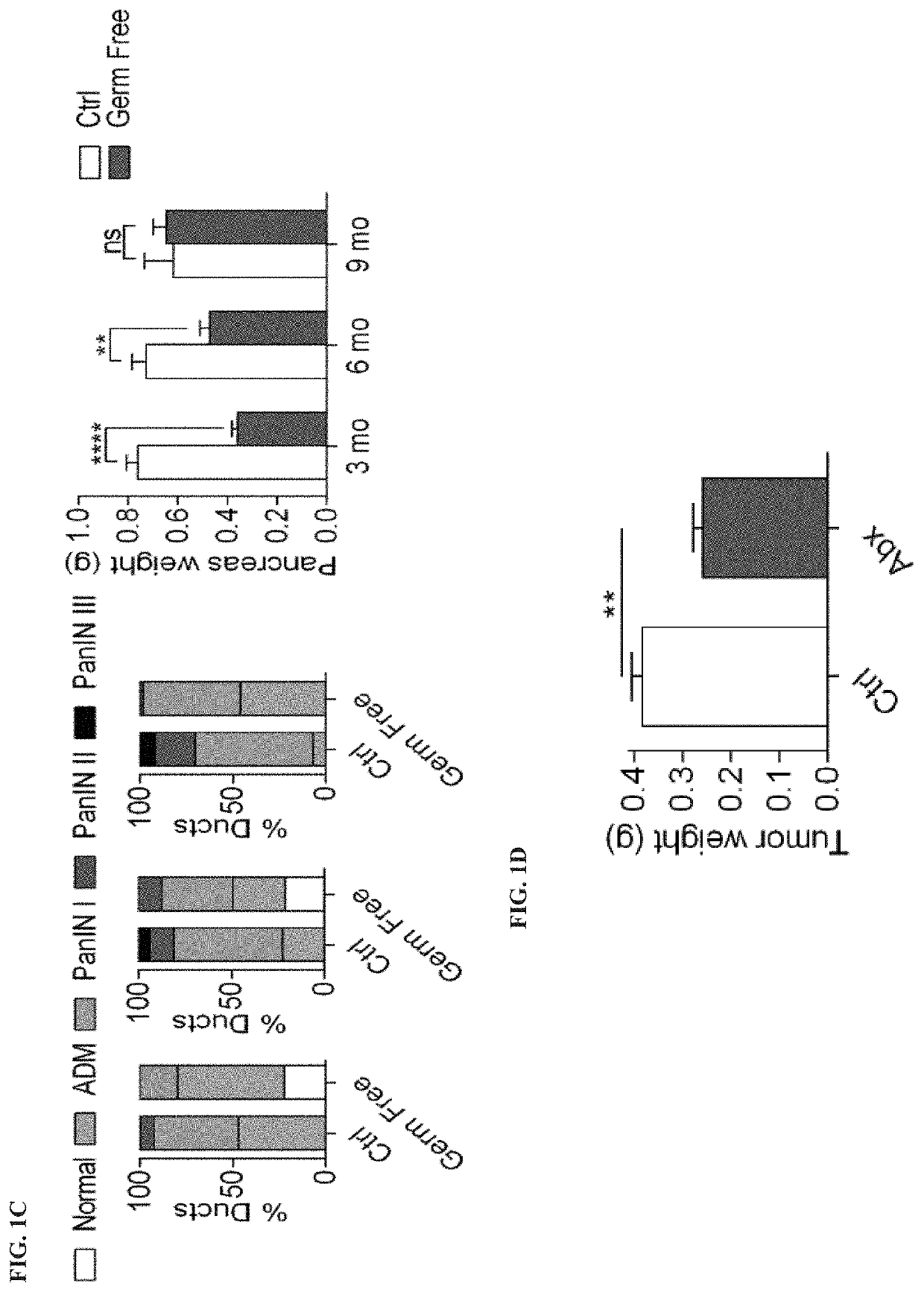 Methods and compositions for treating and diagnosing pancreatic cancers