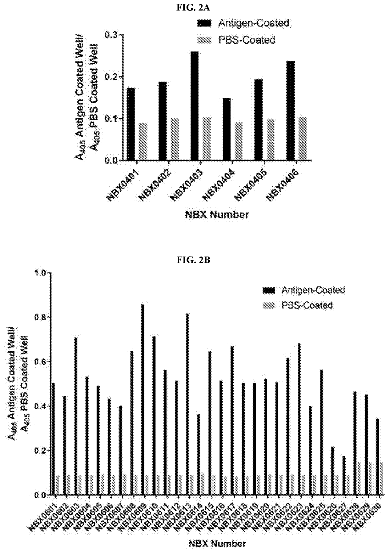 Antibodies against aquaculture disease-causing agents and uses thereof