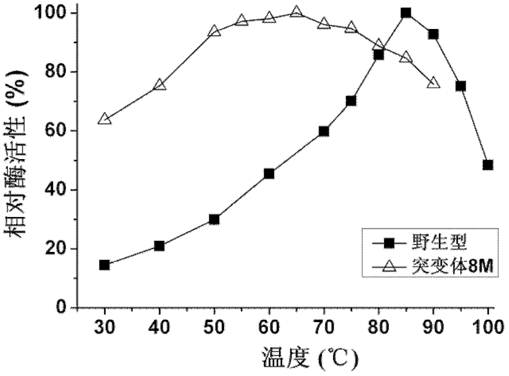 Phosphotriesterase mutant as well as preparation method and application thereof