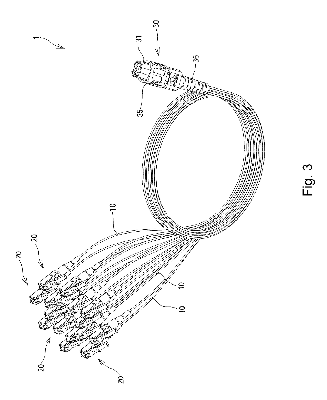 Optical connector with optical fibers and method for manufacturing the same