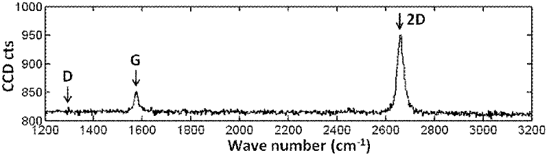 A kind of method that solid carbon source prepares graphene