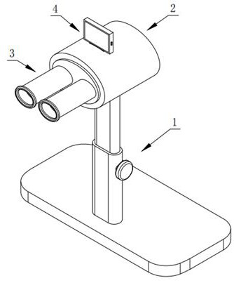 Light feeding instrument with adjustable treatment intensity