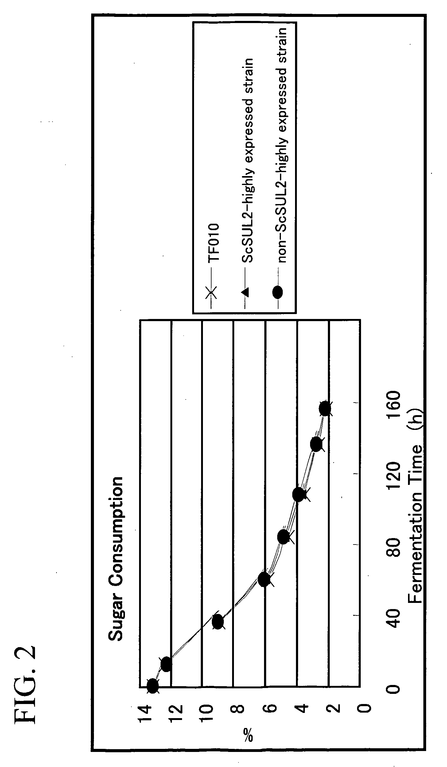 Sulfate Ion Transporter Gene and Use Thereof