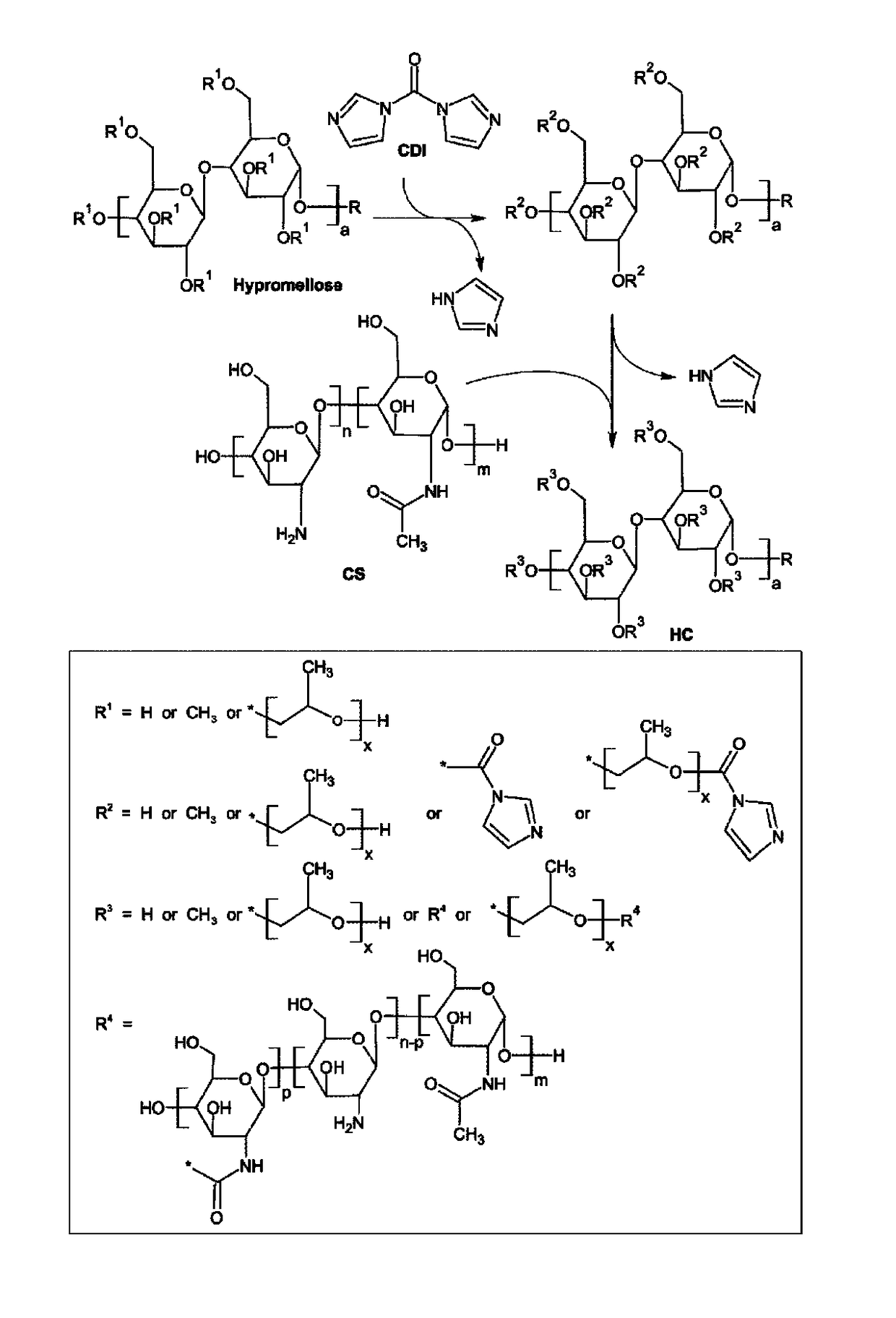 Hypromellose-graft-chitosan and methods thereof for sustained drug delivery