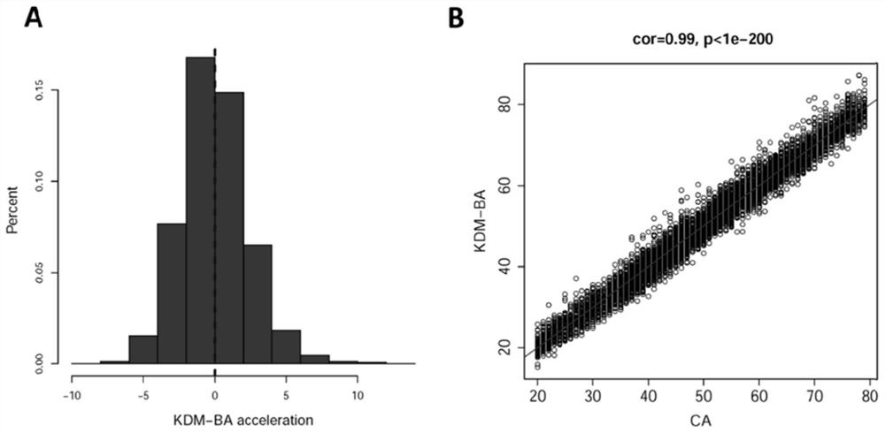 Method for constructing evaluation model for biological age of Chinese population based on clinical markers, and evaluation method