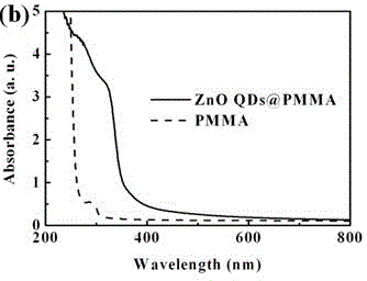 Ultraviolet adsorption visible and transparent organic glass based on ZnO quantum dot and preparation thereof