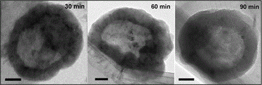 A preparation method of carbon nanotube-loaded double metal oxide hollow nanoparticles